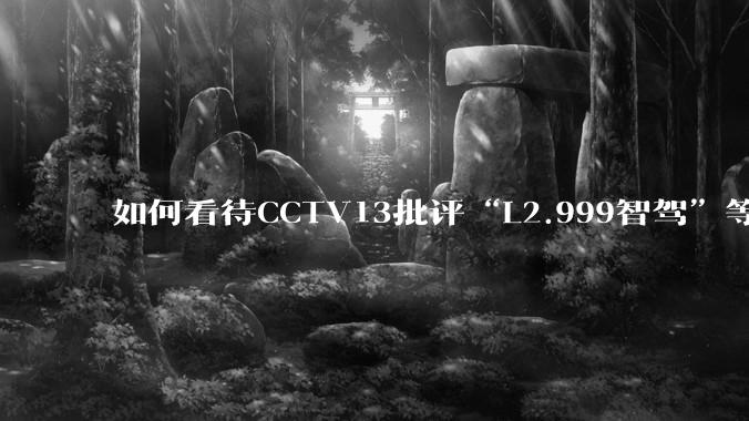 如何看待CCTV13批评“L2.999智驾”等误导性宣传，若导致事故车企可能需要担责？