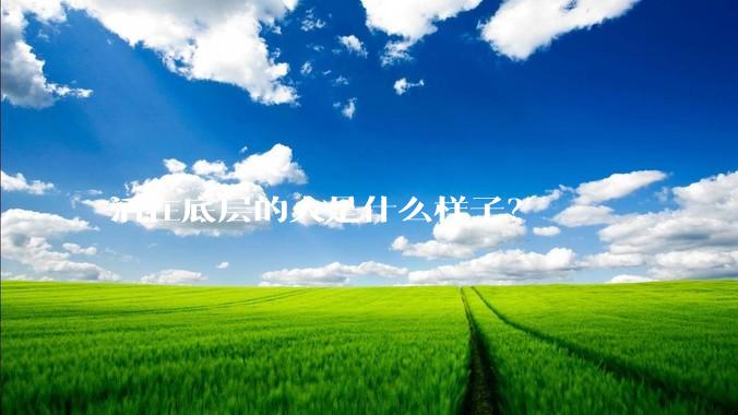 活在底层的人是什么样子？