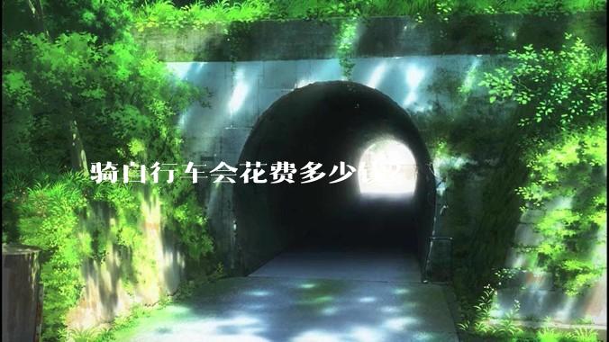骑自行车会花费多少钱？