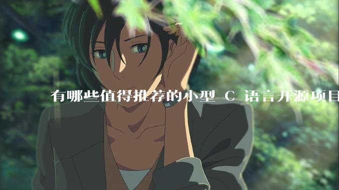 有哪些值得推荐的小型 C 语言开源项目？