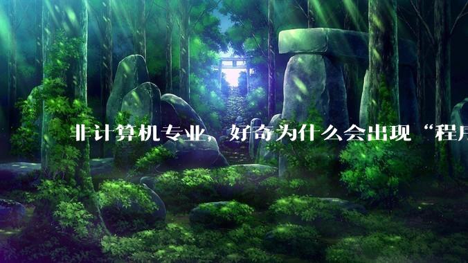 非计算机专业，好奇为什么会出现“程序依赖bug运行”的情况？
