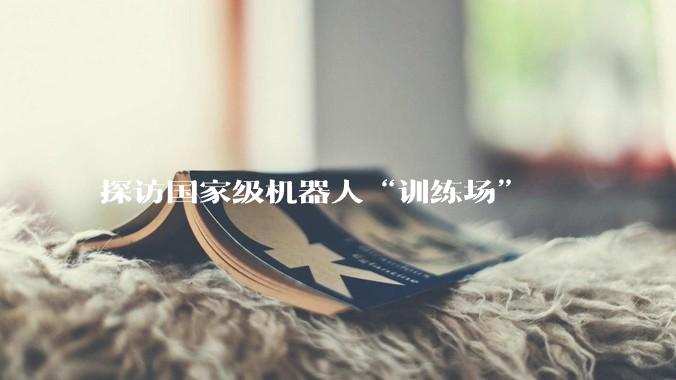 探访国家级机器人“训练场”