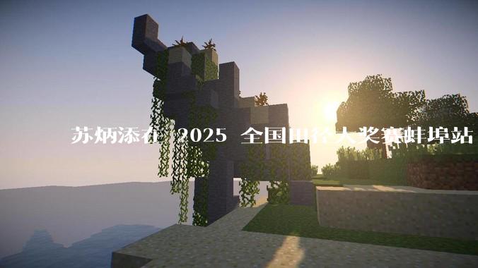 苏炳添在 2025 全国田径大奖赛蚌埠站 100 米预赛中止步小组第三，背后的原因可能有哪些？