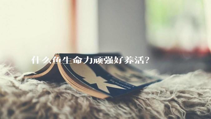 什么鱼生命力顽强好养活？