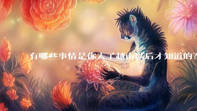 有哪些事情是你去了越南以后才知道的？