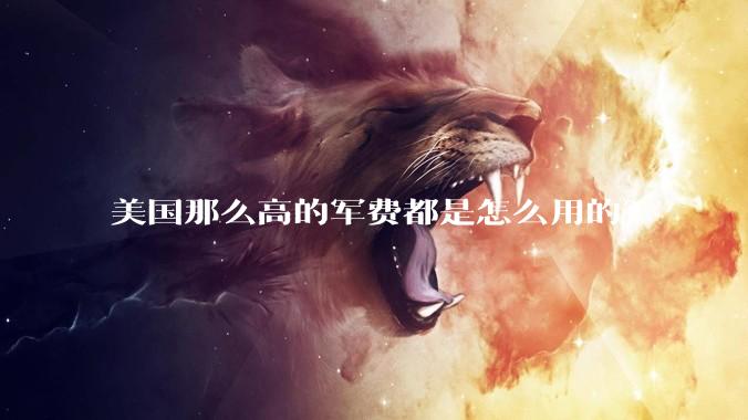 美国那么高的军费都是怎么用的？