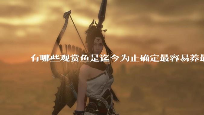 有哪些观赏鱼是迄今为止确定最容易养最不容易死的？